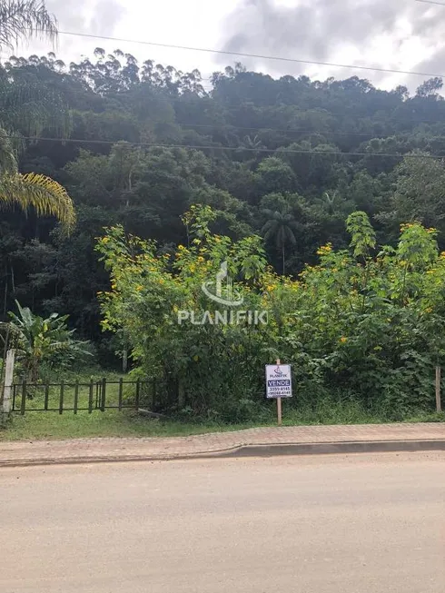 Foto 1 de Lote/Terreno à venda, 7000m² em Limeira Baixa, Brusque