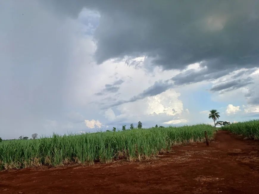 Foto 1 de Fazenda/Sítio com 1 Quarto à venda, 181500m² em Zona Rural, Ituverava