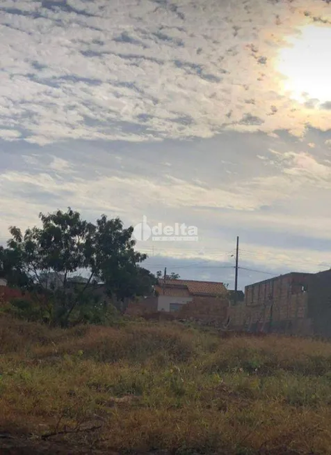 Foto 1 de Lote/Terreno à venda, 600m² em Shopping Park, Uberlândia