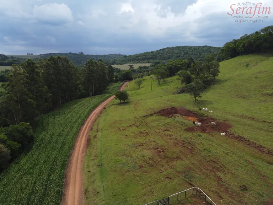 Foto 1 de Fazenda/Sítio com 1 Quarto à venda, 10m² em Alto Alegre, Cascavel