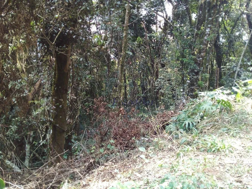 Foto 1 de Lote/Terreno à venda, 2018m² em Roseira, Mairiporã