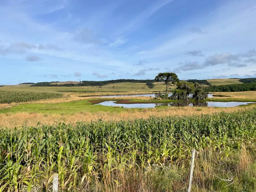 Foto 1 de Fazenda/Sítio à venda, 410000m² em Centro, Canela