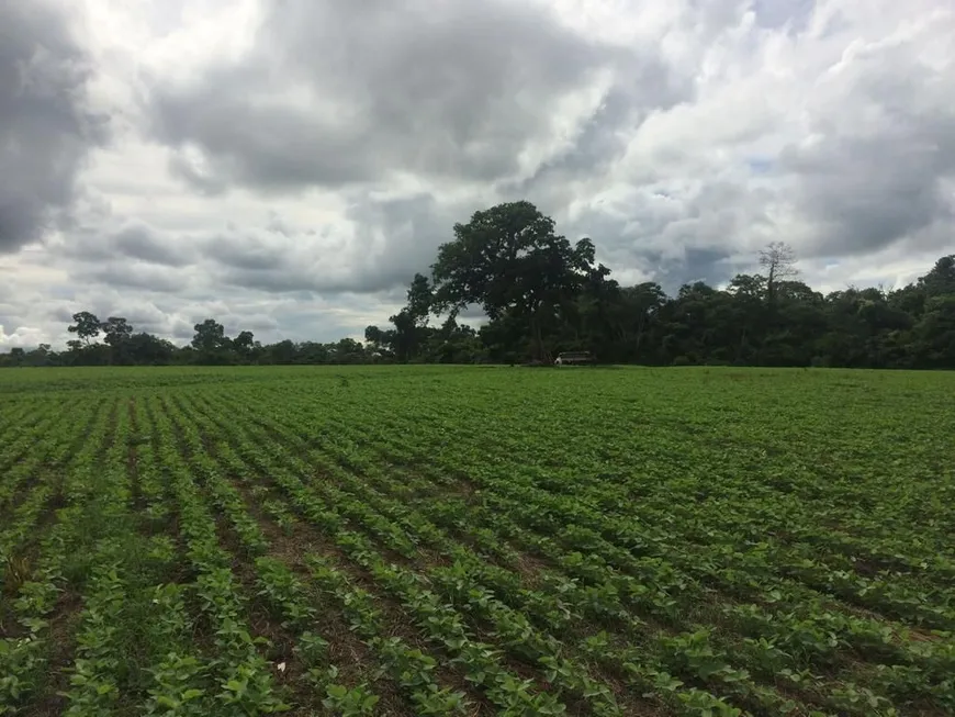 Foto 1 de Fazenda/Sítio à venda, 237000m² em Centro, Grajaú