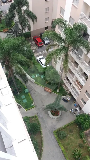 Foto 1 de Apartamento com 3 Quartos para alugar, 62m² em Vila Guilherme, São Paulo