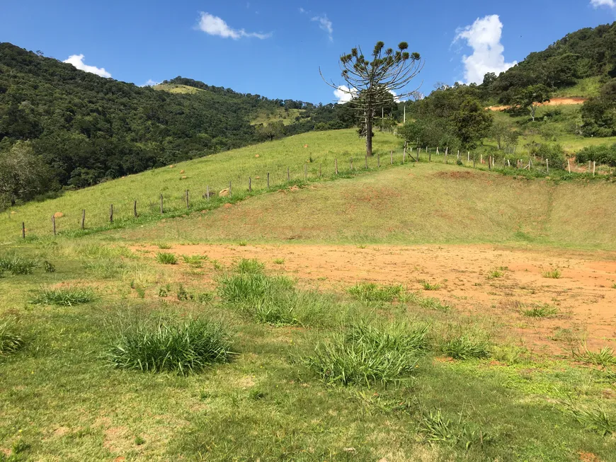 Foto 1 de Lote/Terreno à venda, 26000m² em , Camanducaia