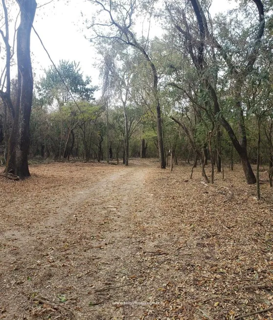 Foto 1 de Fazenda/Sítio com 1 Quarto à venda, 14000m² em Centro, Presidente Bernardes