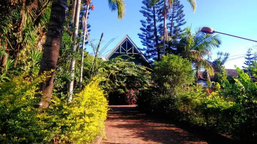 Foto 1 de com 3 Quartos à venda, 7500m² em Jardim Novo Horizonte, Rolândia