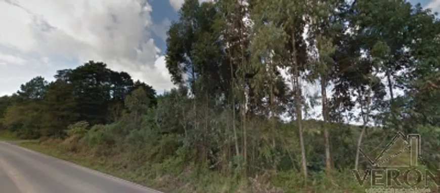 Foto 1 de Lote/Terreno à venda, 32000m² em Forqueta, Caxias do Sul