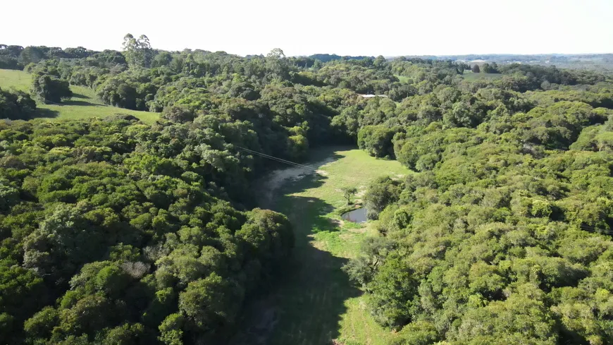 Foto 1 de Fazenda/Sítio com 1 Quarto à venda, 38000m² em Centro, Contenda