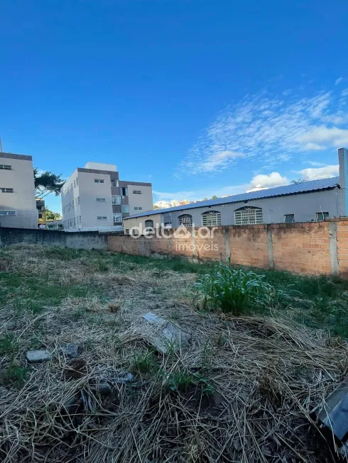 Foto 1 de Lote/Terreno para alugar, 360m² em Santa Amélia, Belo Horizonte