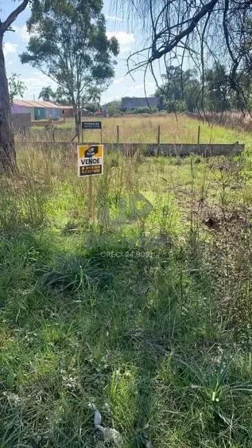 Foto 1 de Lote/Terreno à venda, 10m² em Jardim América, Capão do Leão