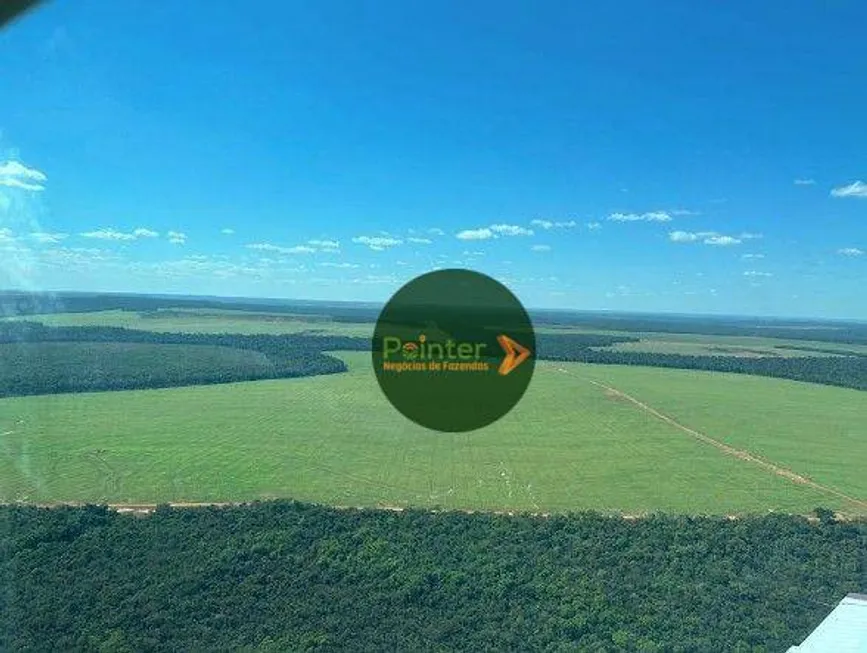 Foto 1 de Fazenda/Sítio à venda, 64000m² em Zona Rural, Nova Mutum