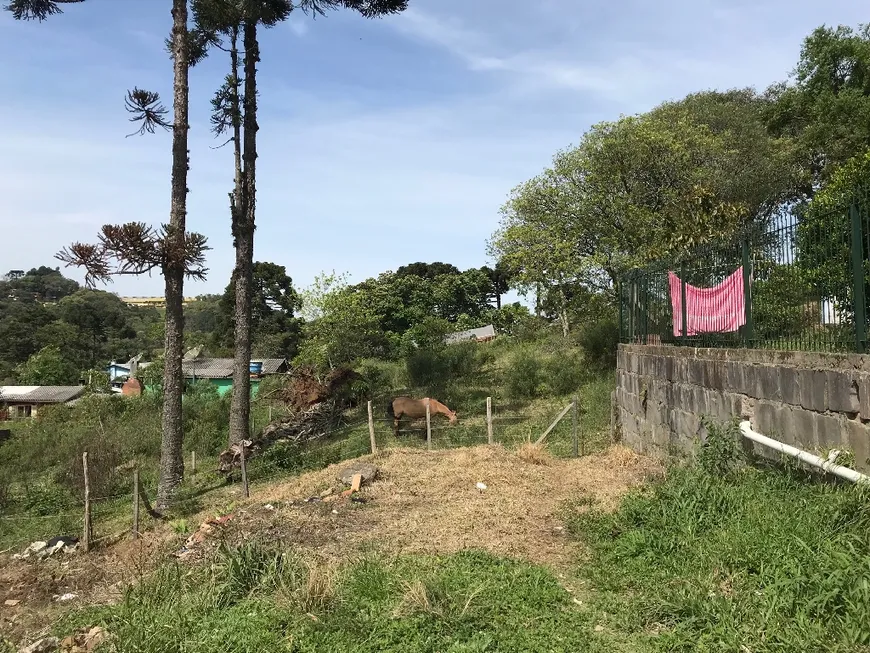 Foto 1 de Lote/Terreno à venda em Castelo, Caxias do Sul