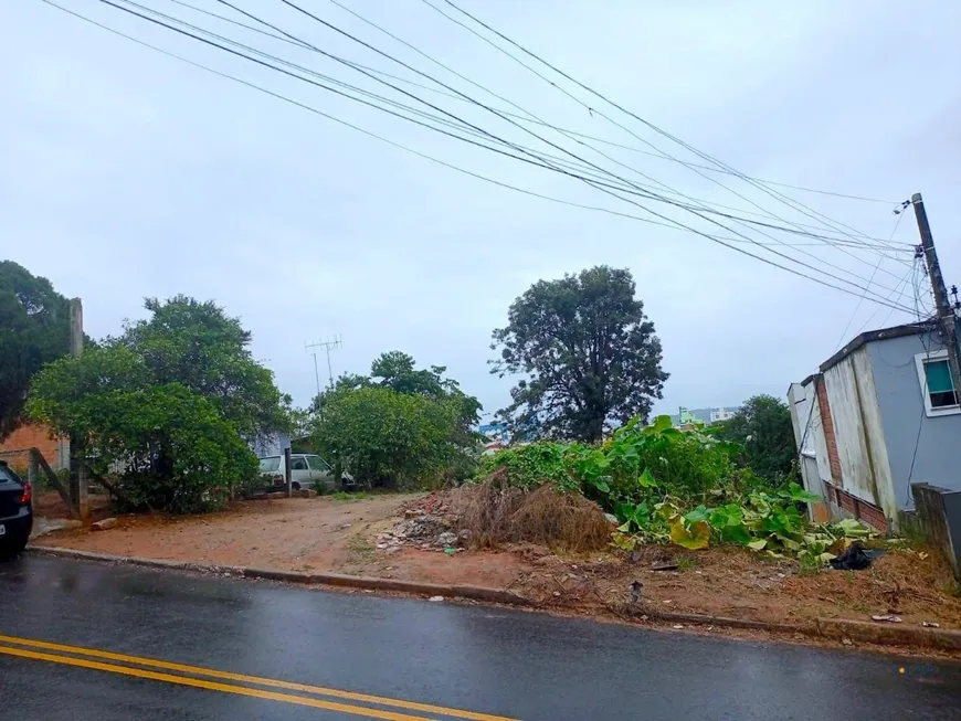 Foto 1 de Lote/Terreno à venda, 426m² em Jardim Atlântico, Florianópolis