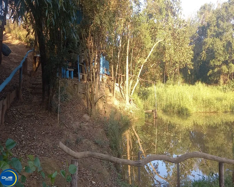 Foto 1 de Fazenda/Sítio com 3 Quartos à venda, 200m² em CARDEAL, Elias Fausto