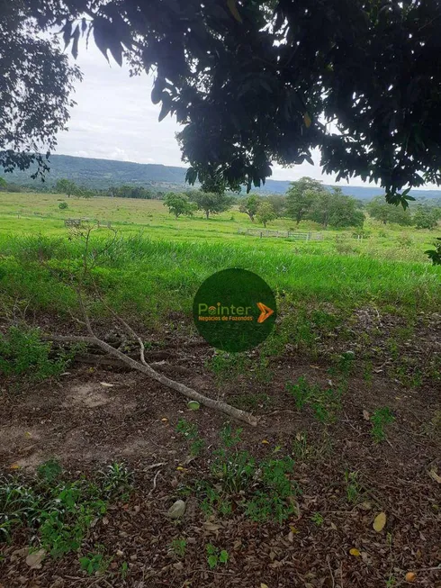 Foto 1 de Fazenda/Sítio à venda, 87120000m² em Zona Rural, Serranópolis