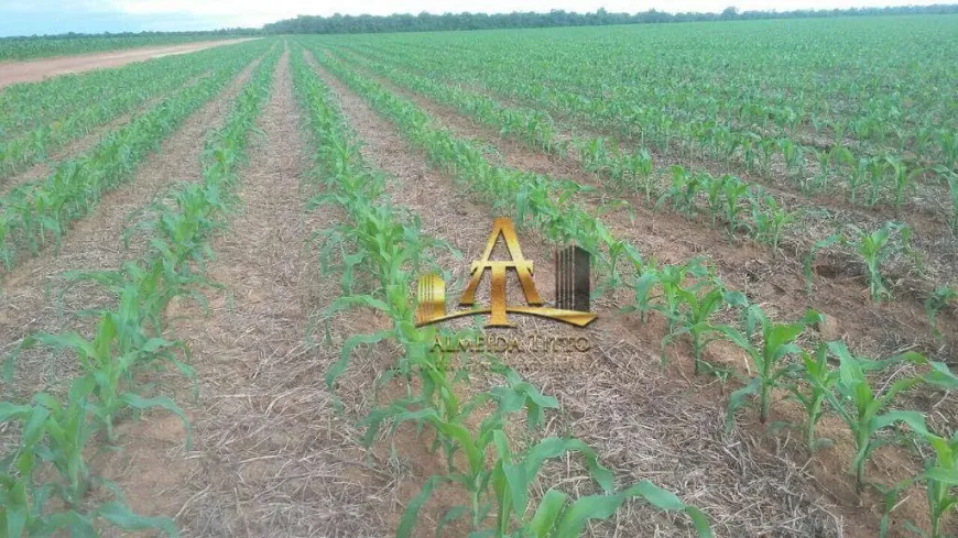 Foto 1 de Fazenda/Sítio com 1 Quarto à venda, 100m² em Zona Rural, Vila Rica