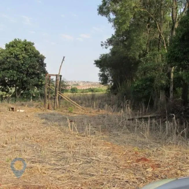 Foto 1 de Fazenda/Sítio à venda, 40000m² em Parque Industrial Alicante, Londrina