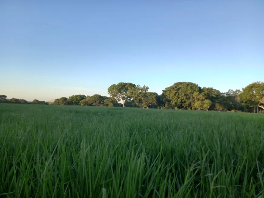 Foto 1 de Fazenda/Sítio à venda, 3000000m² em Zona Rural, Riachinho