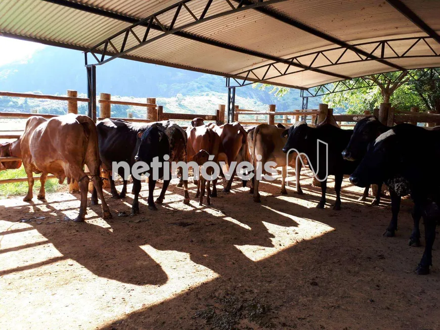 Foto 1 de Fazenda/Sítio à venda, 500000m² em , Mutum