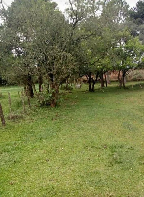 Foto 1 de Lote/Terreno à venda, 500m² em Cristal, Vacaria