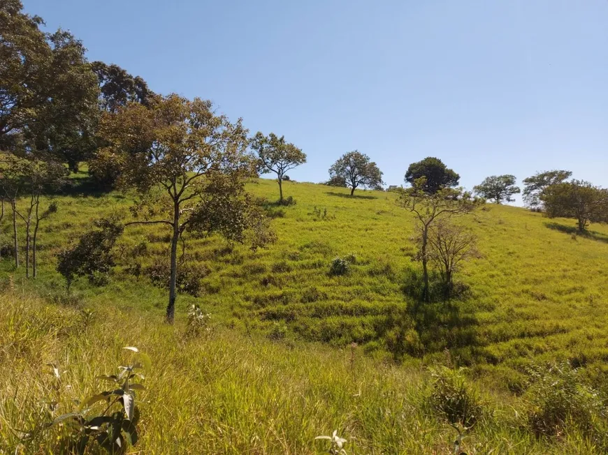 Foto 1 de Fazenda/Sítio com 2 Quartos à venda, 154000m² em Estancia Parque de Atibaia, Atibaia