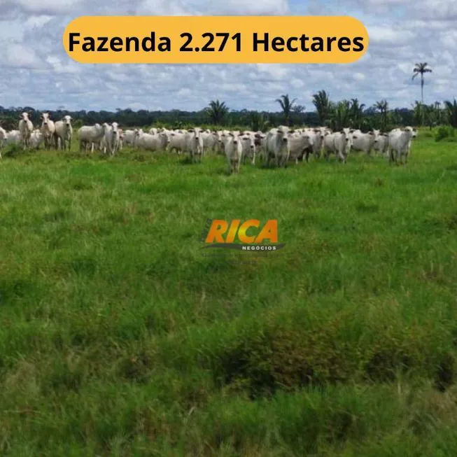 Foto 1 de Fazenda/Sítio à venda, 22710000m² em , Canutama