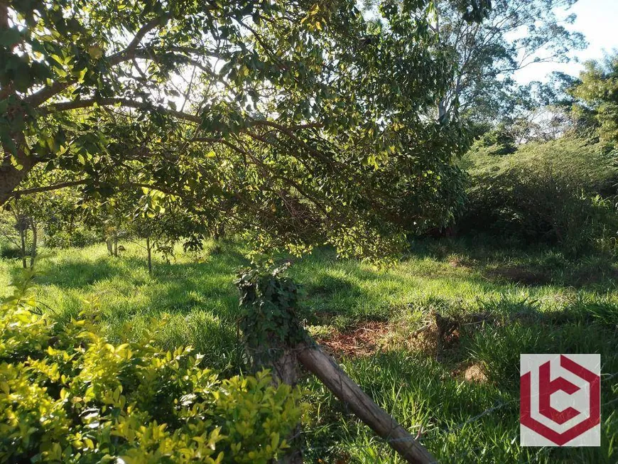 Foto 1 de Lote/Terreno à venda, 6600m² em Jardim Parque da Palmeiras, Serra Negra