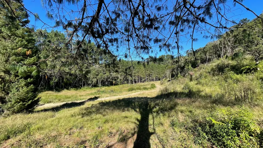 Foto 1 de Fazenda/Sítio à venda, 50000m² em MORRO CHATO, Rancho Queimado