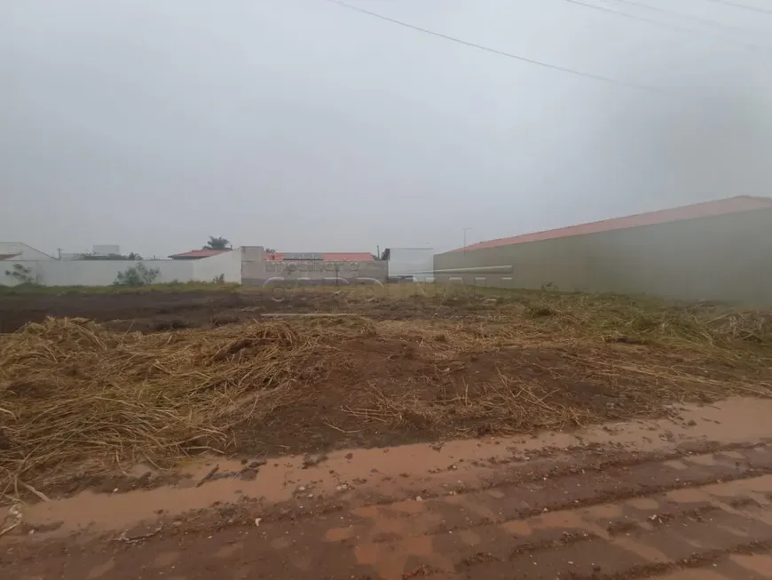 Foto 1 de Lote/Terreno à venda, 1000m² em Quinta dos Buritis, São Carlos