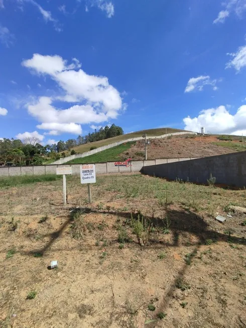 Foto 1 de Lote/Terreno à venda, 450m² em Violeira, Viçosa