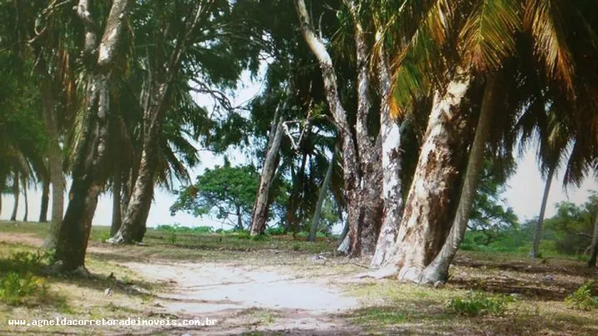 Foto 1 de Fazenda/Sítio com 3 Quartos à venda, 170000000m² em Extremoz, Extremoz