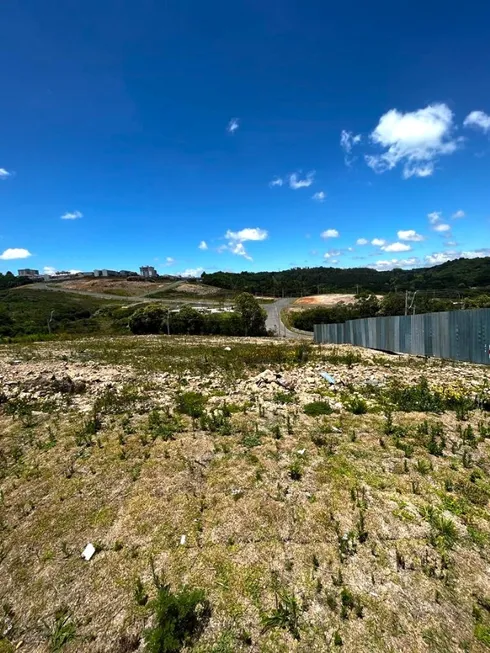 Foto 1 de Lote/Terreno à venda, 324m² em São Giácomo, Caxias do Sul