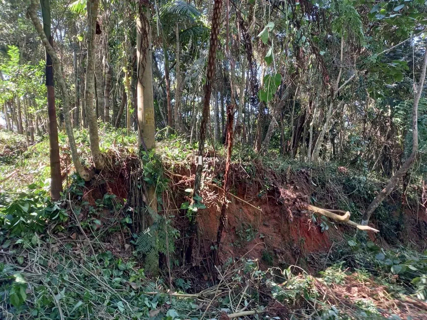 Foto 1 de Lote/Terreno à venda, 1575m² em Ressaca, Cotia