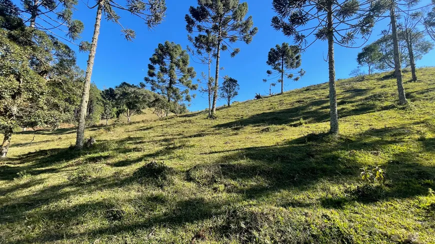 Foto 1 de Fazenda/Sítio à venda, 140000m² em Centro, Rancho Queimado