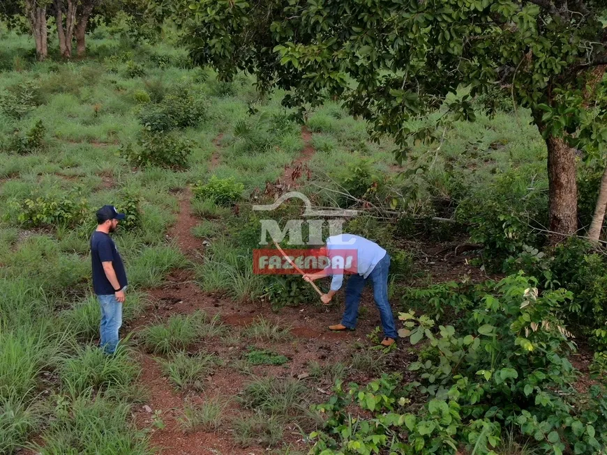 Foto 1 de Fazenda/Sítio com 2 Quartos à venda, 100m² em Zona Rural, Marianópolis do Tocantins