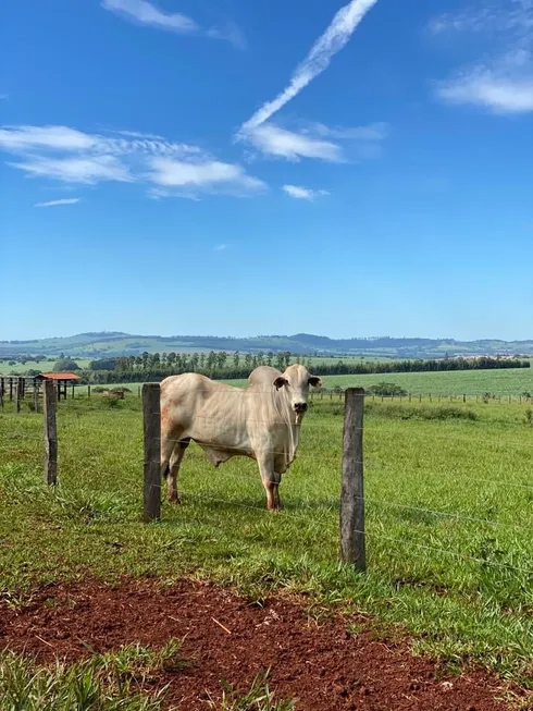 Foto 1 de Fazenda/Sítio com 4 Quartos à venda, 120m² em Zona Rural, Tambaú