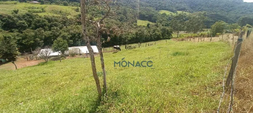 Foto 1 de Fazenda/Sítio com 3 Quartos à venda, 450m² em , Tamarana