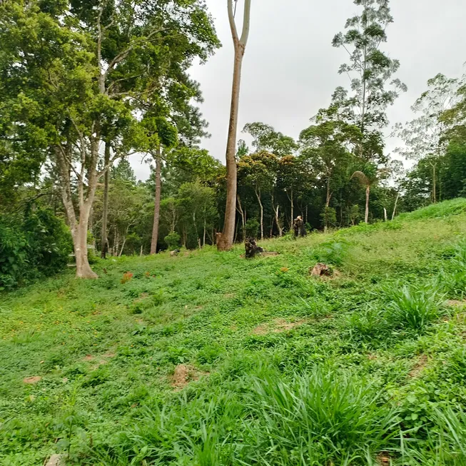 Foto 1 de Lote/Terreno à venda, 1500m² em Loteamento Vale Florido, Embu-Guaçu