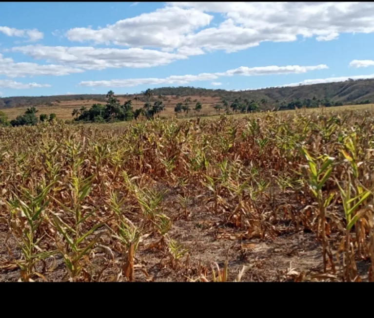 Foto 1 de Fazenda/Sítio à venda em Zona Rural, Niquelândia