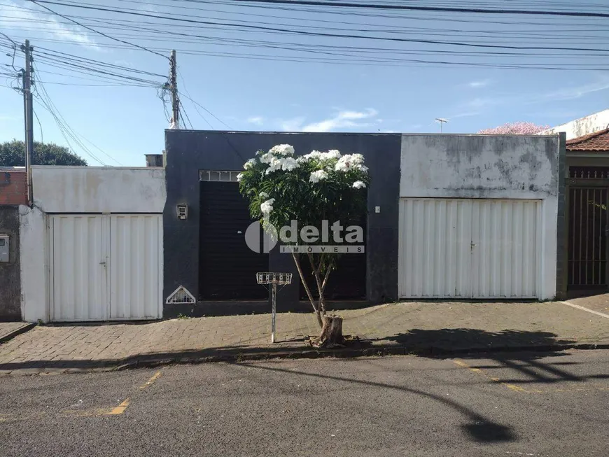 Foto 1 de Casa com 2 Quartos à venda, 300m² em Lidice, Uberlândia