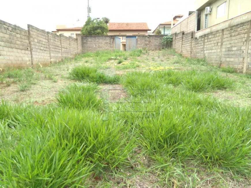 Foto 1 de Lote/Terreno para alugar, 375m² em Ribeirânia, Ribeirão Preto