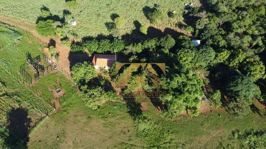 Foto 1 de Fazenda/Sítio com 3 Quartos à venda, 363000m² em Zona Rural, Palmas