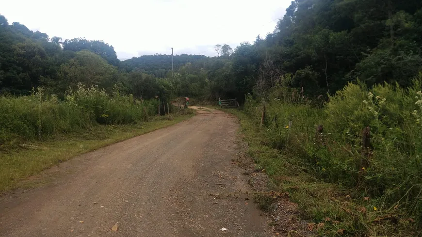 Foto 1 de Fazenda/Sítio à venda, 80000m² em Campinas, Campo Alegre