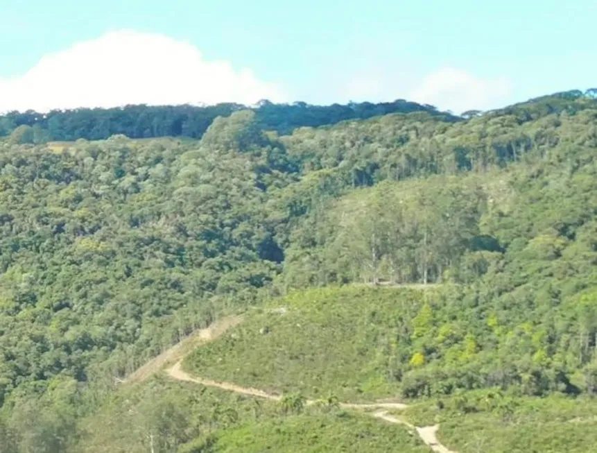 Foto 1 de Fazenda/Sítio à venda, 119000m² em Aguas Frias, Alfredo Wagner