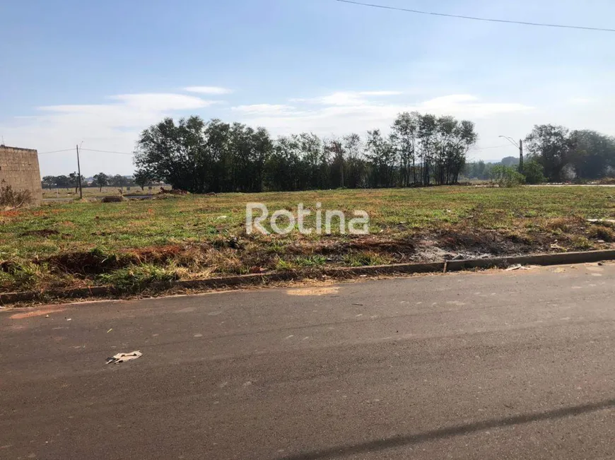 Foto 1 de Lote/Terreno à venda, 300m² em Aclimacao, Uberlândia