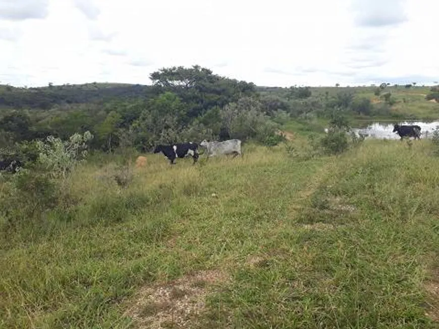 Foto 1 de Lote/Terreno à venda, 20000m² em Centro, Araçaí