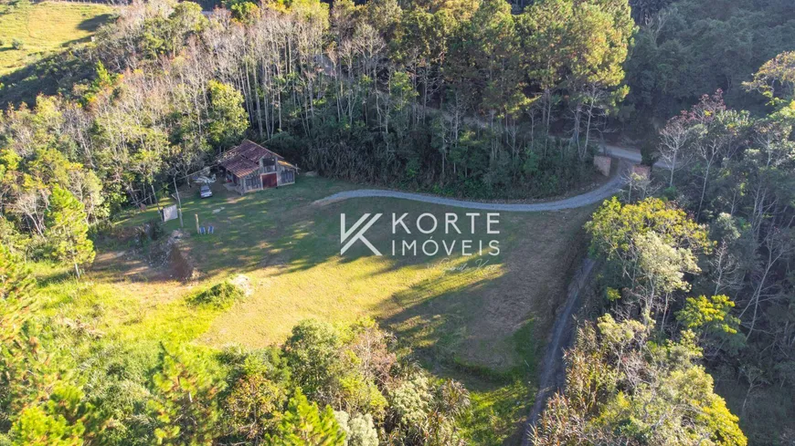 Foto 1 de Fazenda/Sítio com 1 Quarto à venda, 15000m² em , Agronômica