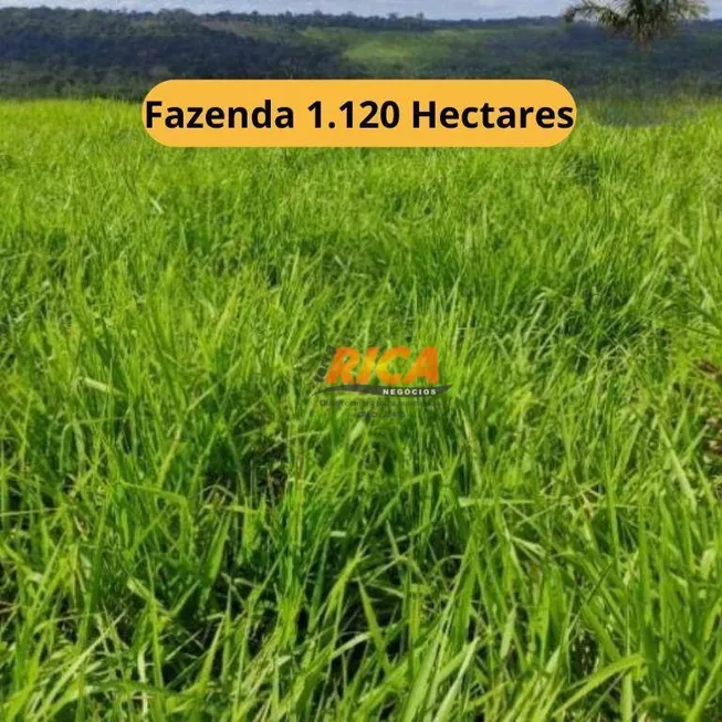 Foto 1 de Fazenda/Sítio à venda, 11200000m² em , Apuí