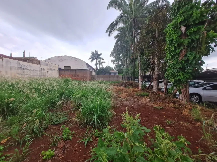 Foto 1 de Lote/Terreno à venda, 371m² em Vila Assis, Jaú